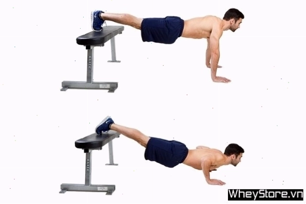 Người tập thực hiện Dumbbell Bench Press trên ghế tập