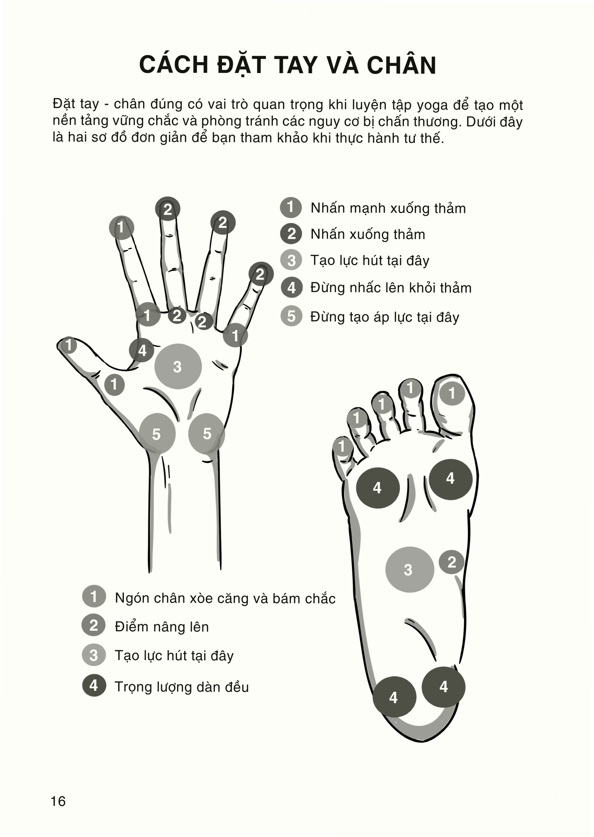 Người tập Yoga đang thư giãn sau buổi tập