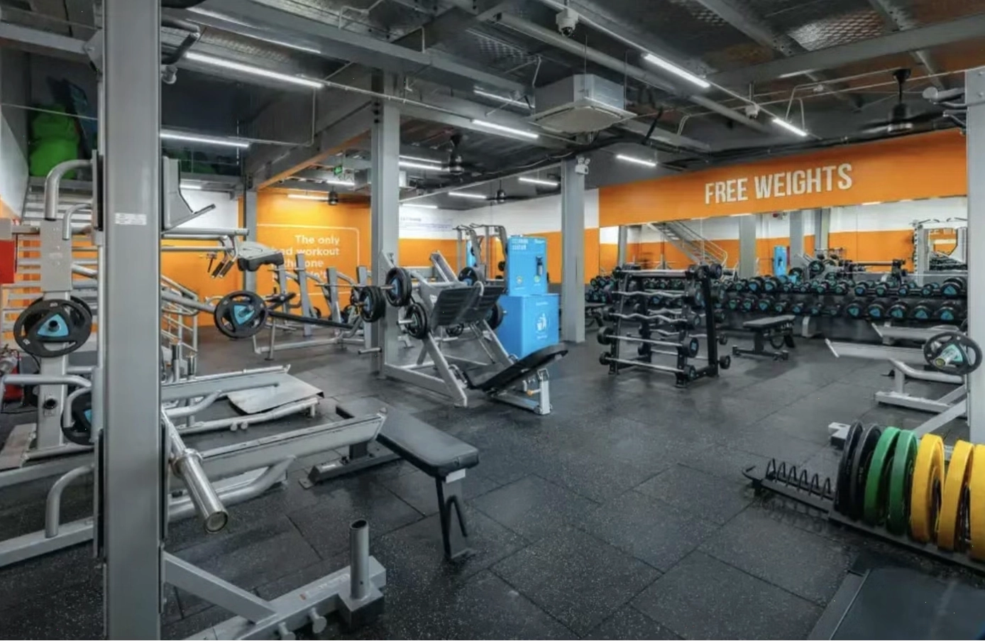 Nhân viên The New Gym hướng dẫn gymer mới