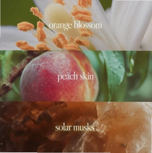 Nhiều loại body mist với thiết kế đa dạng