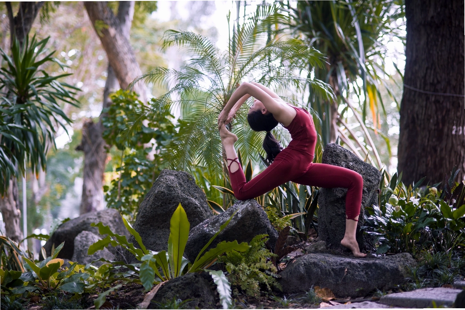 Nhóm bạn tập yoga cùng nhau