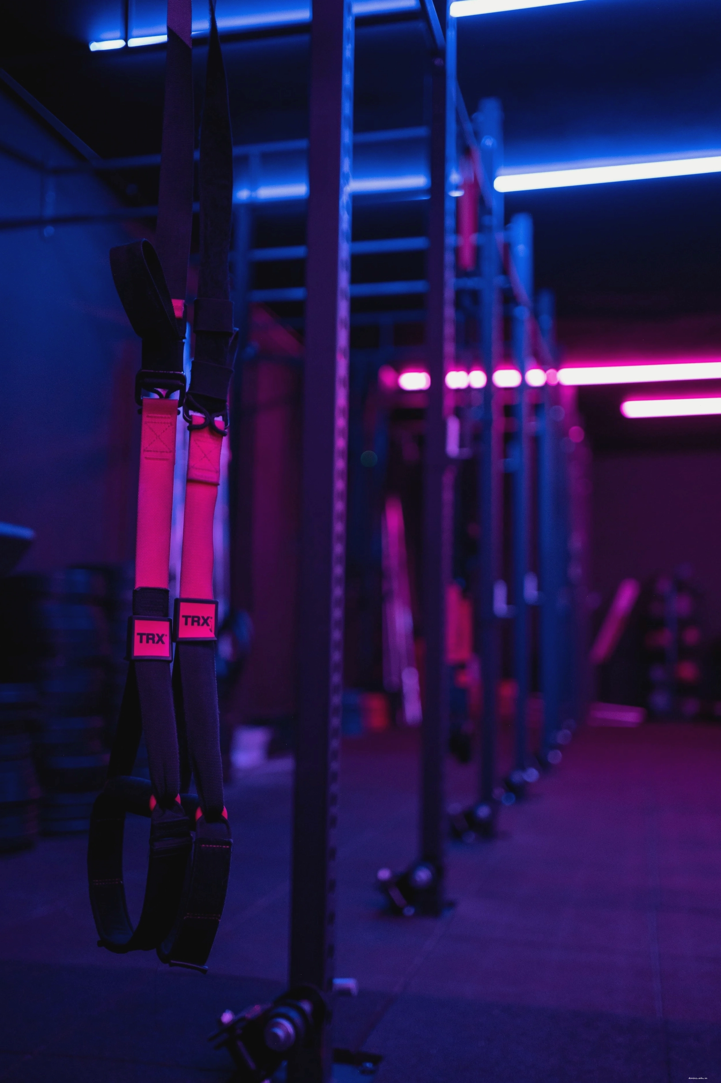 Nhóm người tập luyện cùng nhau tại SQUAD GYM, tạo không khí sôi động