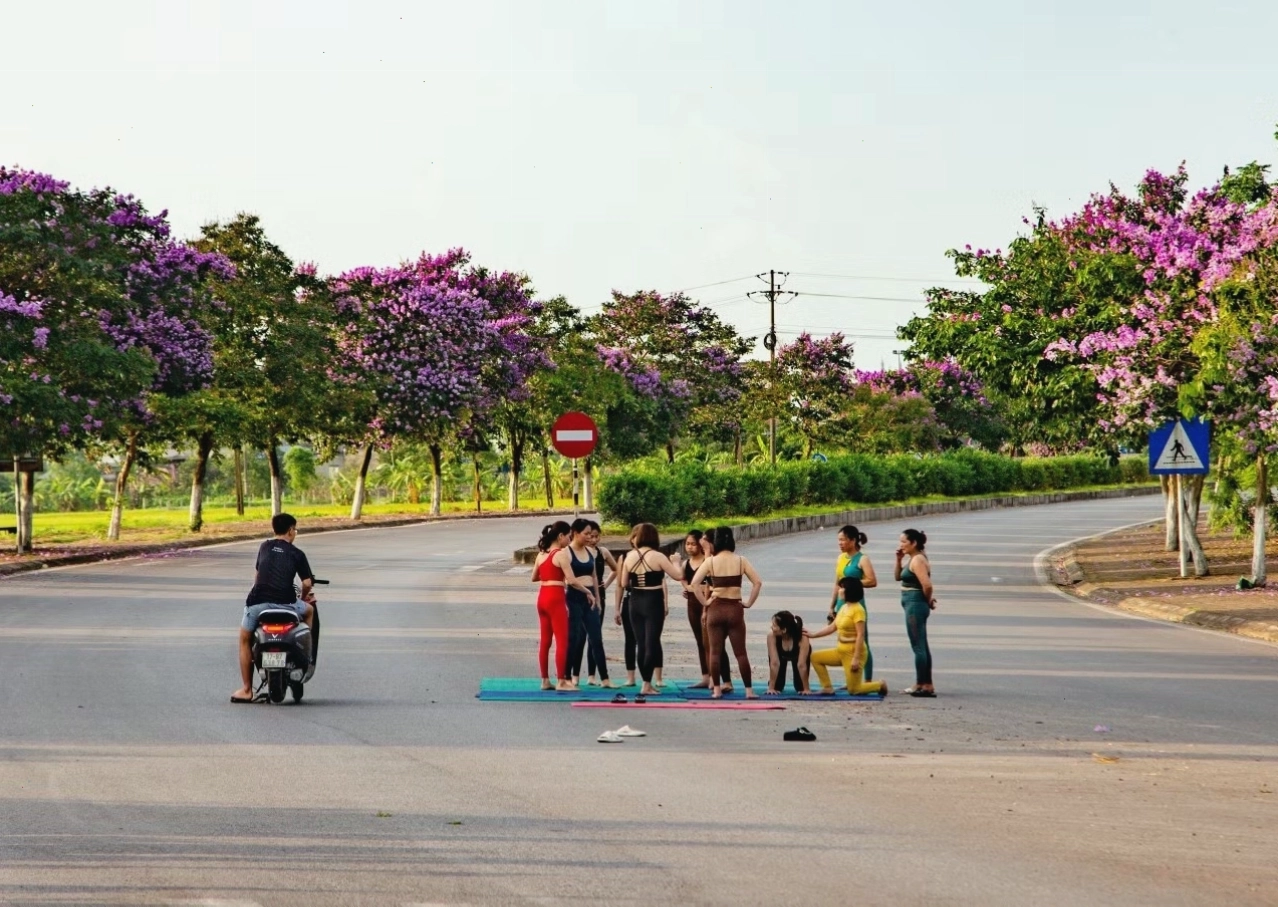 Nhóm phụ nữ trải thảm tạo dáng yoga ở giữa đường.