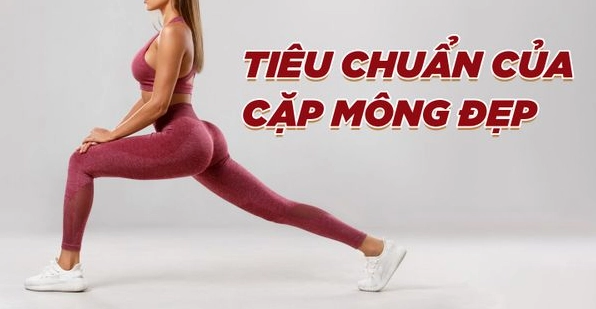 Những bài tập mông săn chắc cho nam giới 2026