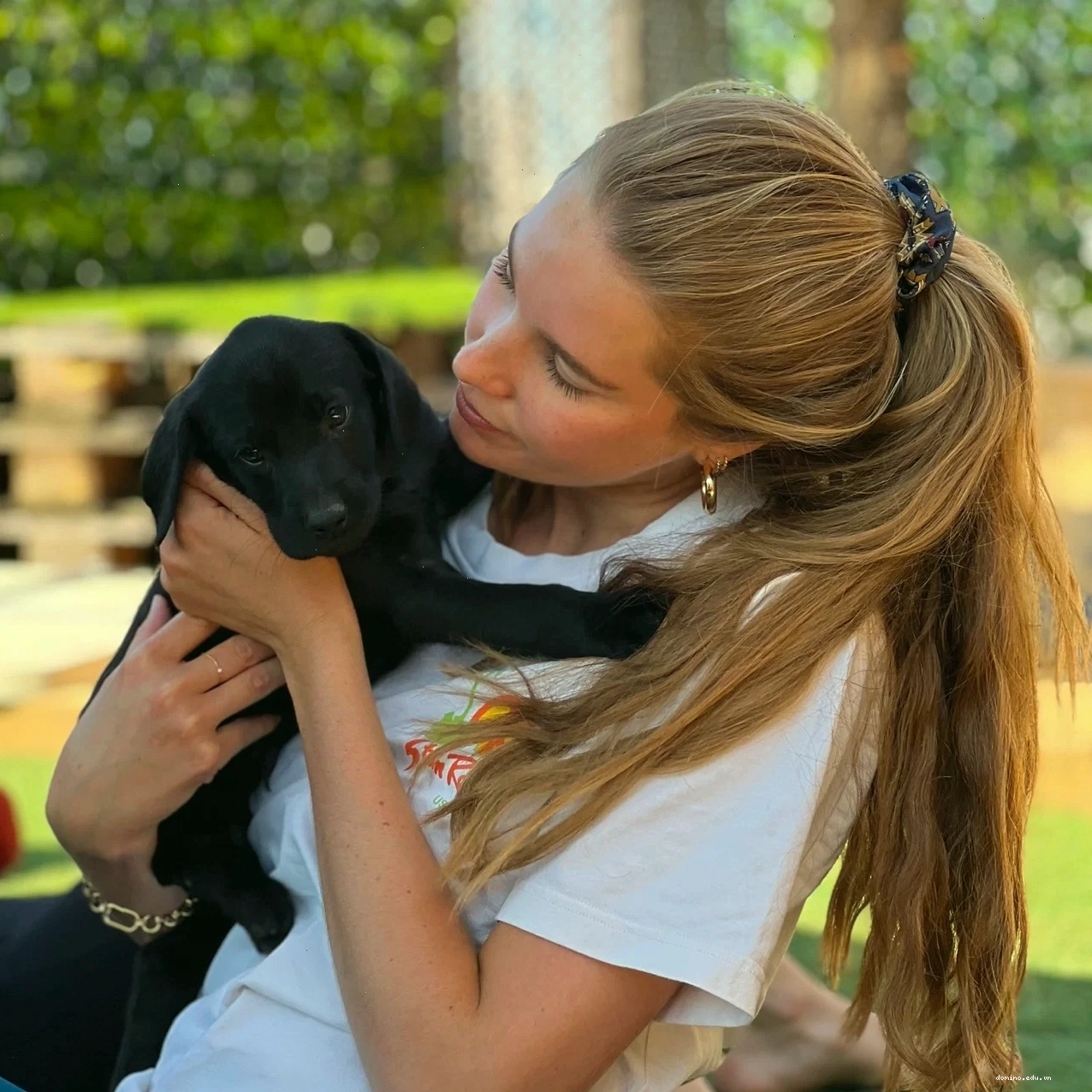 Những người tham gia vui vẻ trong lớp Doggy Yoga
