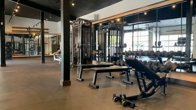 Olympic Gym Nâng Tầm Trải Nghiệm Tập Luyện Toàn Diện