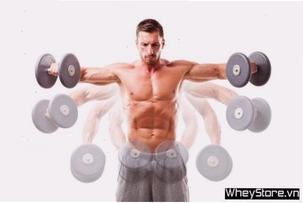 Phòng gym với nhiều thiết bị hỗ trợ tập thân trên