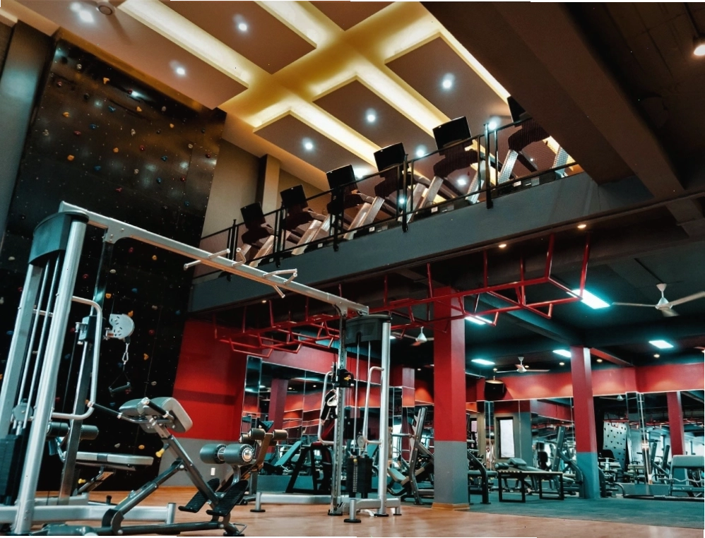 Phòng tập gym hiện đại với đầy đủ thiết bị hỗ trợ tập lưng