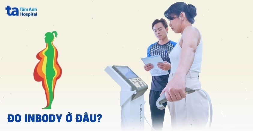 Phòng tập gym hiện đại với máy đo Inbody
