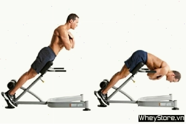 Phụ nữ tập Hyperextension trên ghế tập chuyên dụng