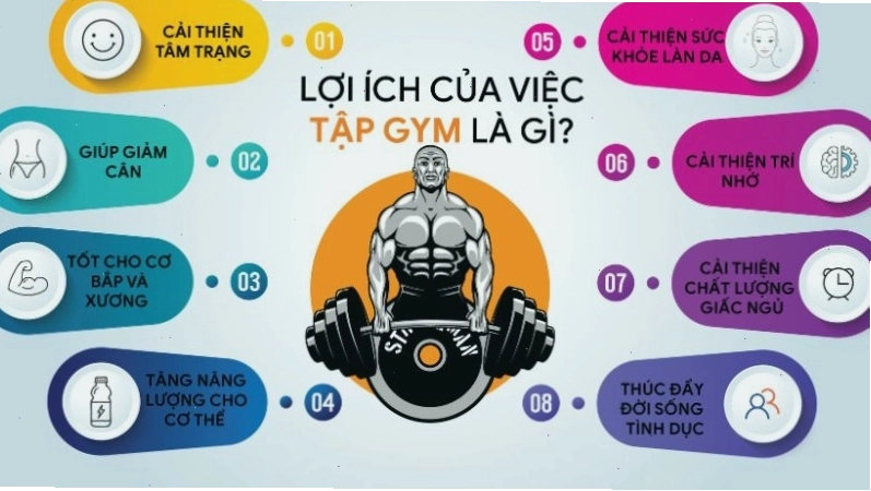 Phụ nữ tập luyện các bài tập fitness đa dạng để cải thiện sức khỏe toàn diện