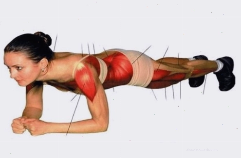 Plank là bài tập toàn thân giúp săn chắc cơ mà tiêu hao mỡ thừa tại các bộ phận