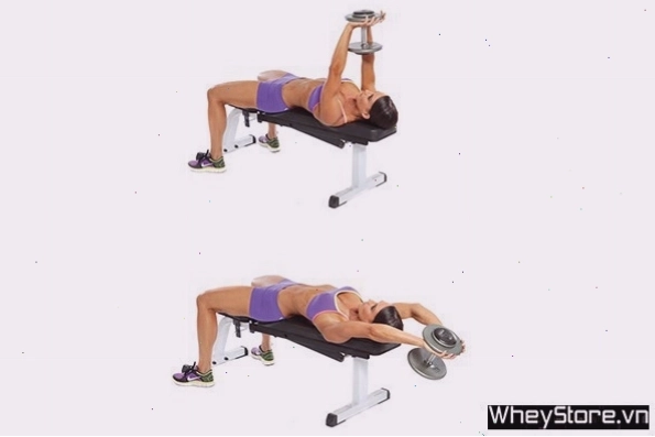 Plank nâng tạ đơn giúp săn chắc cơ ngực và vai