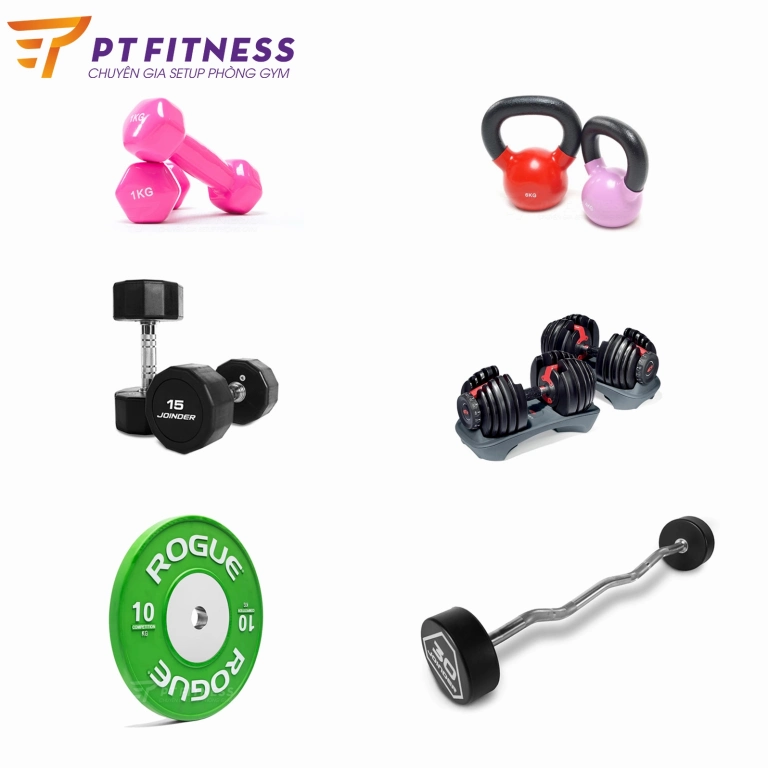 Quả Tạ Tập Tay: Hướng Dẫn Chọn Mua và Bài Tập Hiệu Quả