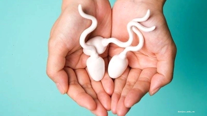 Quan hệ tình dục có thể gia tăng chất lượng tinh trùng ở nam giới