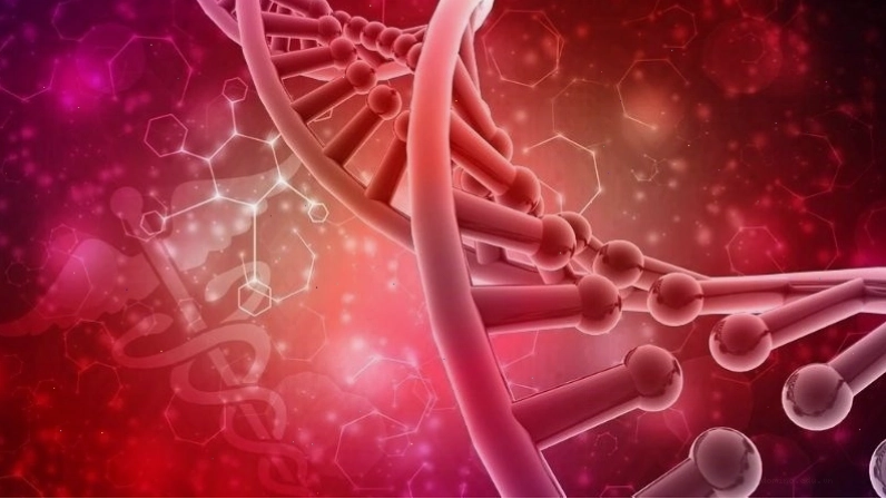 Quan hệ tình dục đều đặn giúp điều hòa hormone trong cơ thể
