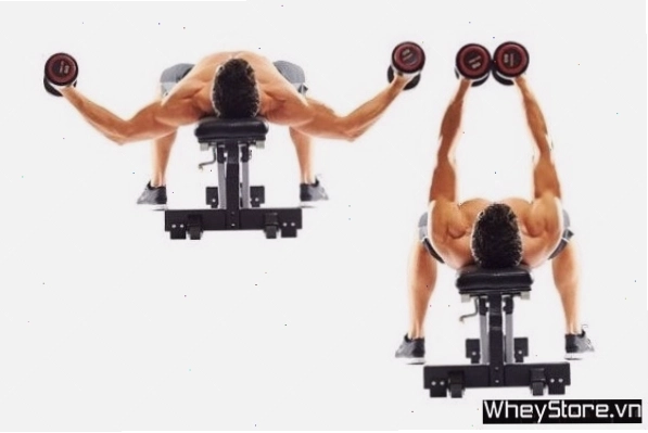 Renegade Row with Push Up kết hợp hai bài tập hiệu quả