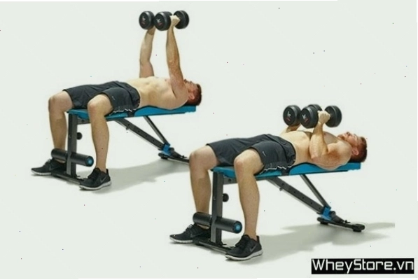 Renegade Row with Push Up tăng cường sức mạnh và sự cân bằng