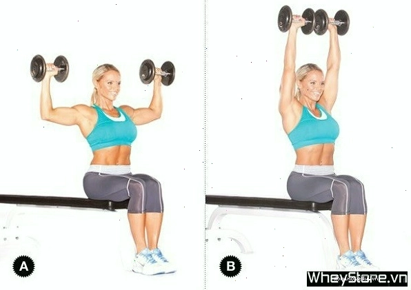 Seated Dumbbell Press giúp làm săn chắc cơ vai