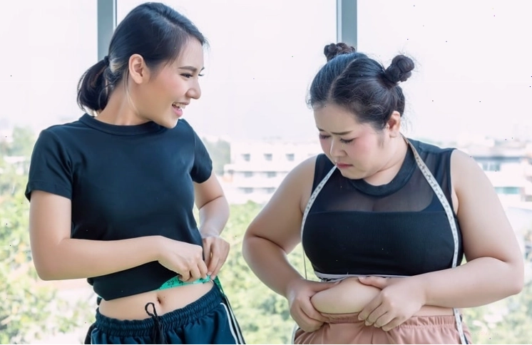 Slim Body giúp giảm hấp thu chất béo và tăng cường chuyển hóa năng lượng