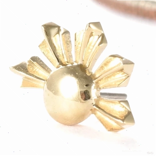 Sovereign Sun Fan Press-fit End in Gold from Regalia