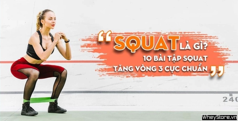 Squat là gì? Hướng dẫn tập squat tăng vòng 3 săn chắc