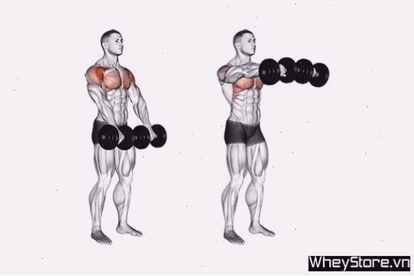 Squeeze Dumbbell Press - Bài tập siết cơ ngực trong với tạ đơn