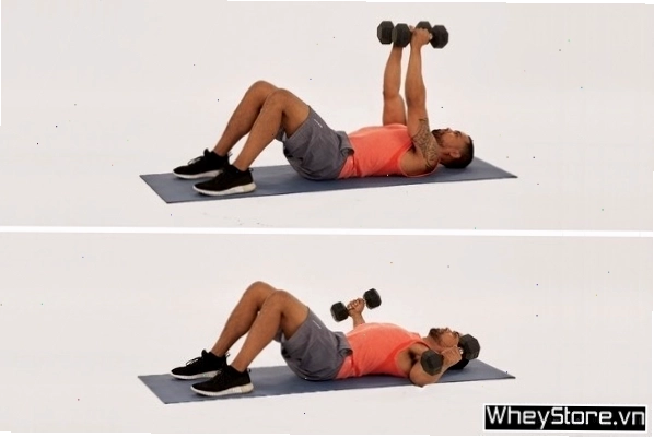Standard Dumbbell Chest Press - Bài tập ngực giữa với tạ đơn