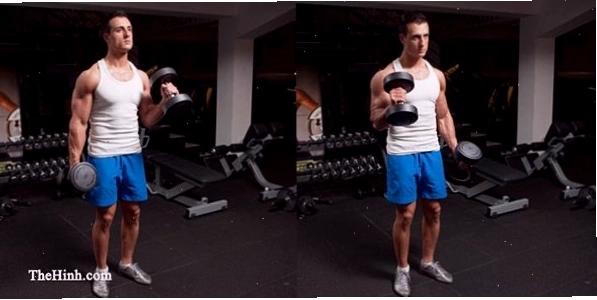 Sữa tăng sức mạnh sức bền Metabolic Creatine