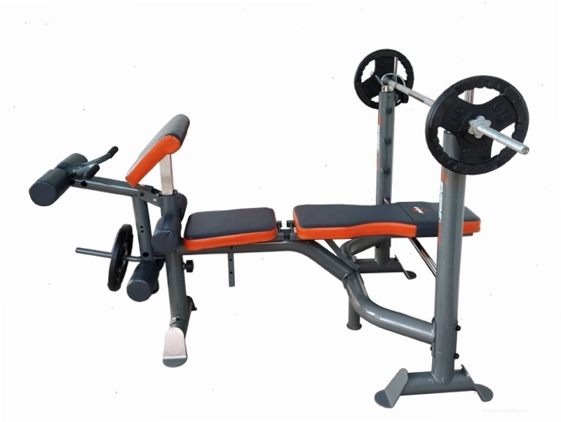 Tác động của kích thước ghế tập tạ đến hiệu quả bài tập