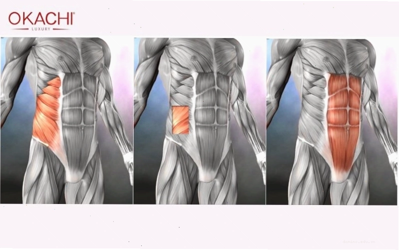 Tác dụng của cơ vùng core đối với cơ thể con người