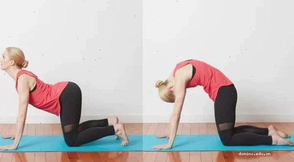 Tấm thảm yoga là dụng cụ cơ bản cho việc tự tập yoga tại nhà