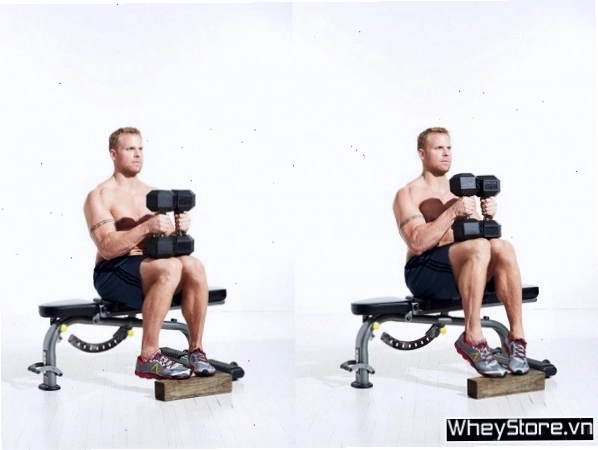 Tăng cường sức mạnh bắp chân với động tác đứng đẩy tạ trên máy
