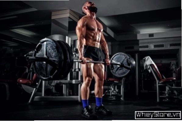 Tập bắp chân trên máy Leg Press