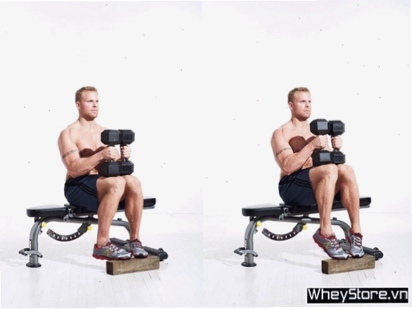 Tập bắp chân với tạ đơn khi ngồi