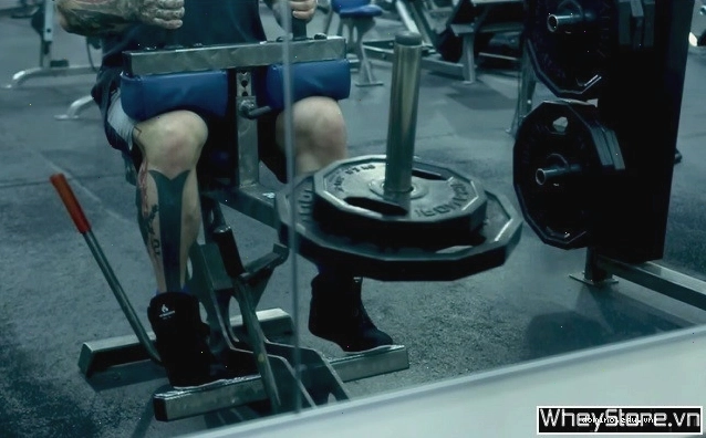 Tập cơ bắp chân với máy Seated Calf Raise