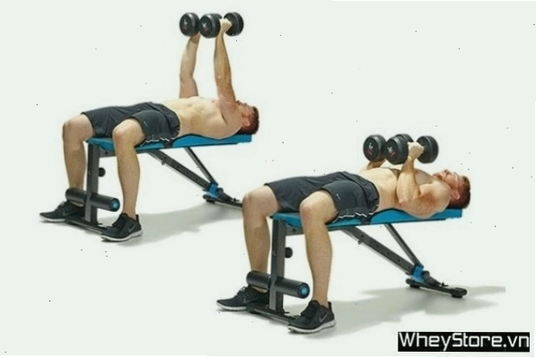 Tập cơ ngực trên ghế ngang với tạ đơn