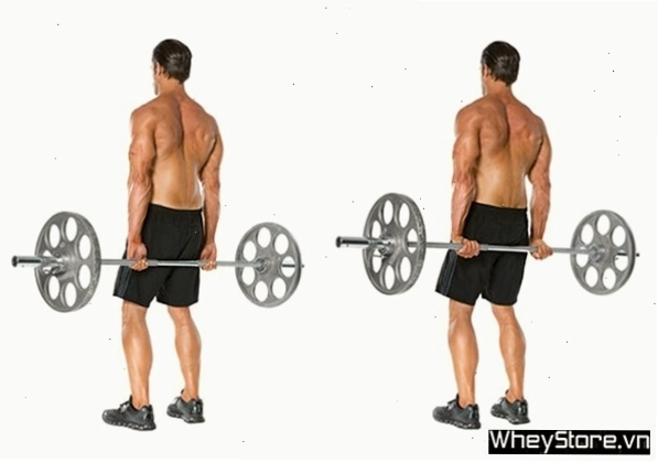 Tập cổ tay khỏe và to ra nhanh chóng nhờ bài tập ngồi gập cổ tay với tạ đơn