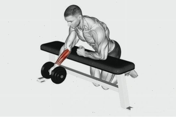 Tập Dumbbell one-arm reverse wrist curl với tạ đơn