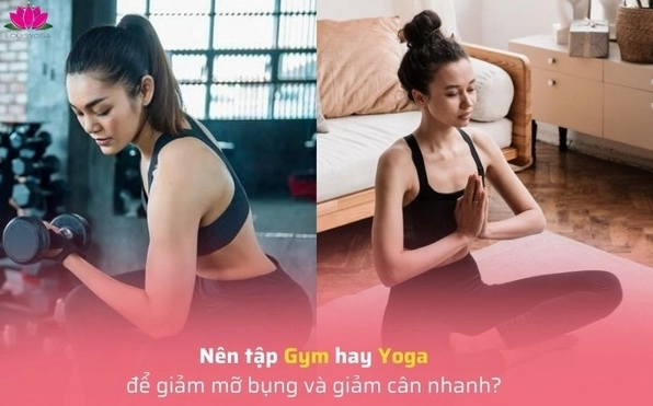 Tập Gym hay Yoga: Đâu là lựa chọn tối ưu cho vóc dáng và sức khỏe 2026?