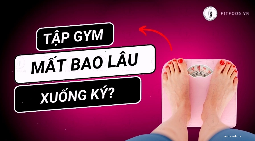 Tập gym là phương pháp hiệu quả để giảm cân và cải thiện vóc dáng