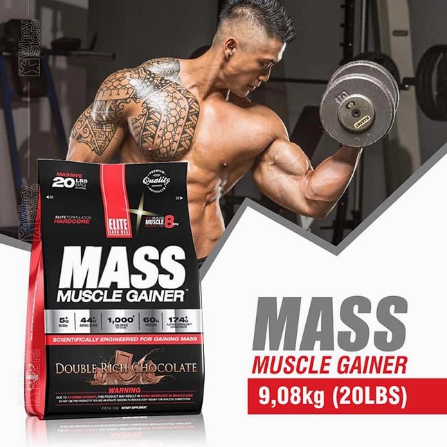 Tập Gym Nên Uống Sữa Gì Để Tăng Cơ, Tăng Cân Hiệu Quả 2026?