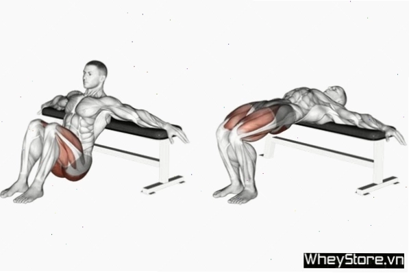 Tập Hip Thrust với ghế, một biến thể phổ biến cho nữ giới