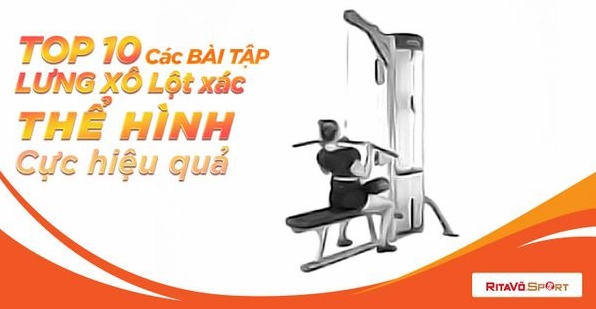 Tập Lưng Với Máy: Bí Quyết Sở Hữu Tấm Lưng Khỏe Mạnh