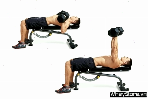 Tập luyện bài Incline Dumbbell Bench Press với tạ đơn trên ghế dốc