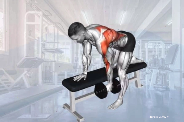 Tập luyện bài One-arm Dumbbell Row với tạ đơn và ghế hỗ trợ