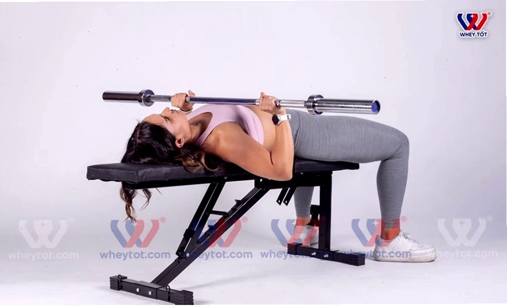 Tập ngực với Barbell Bench Press