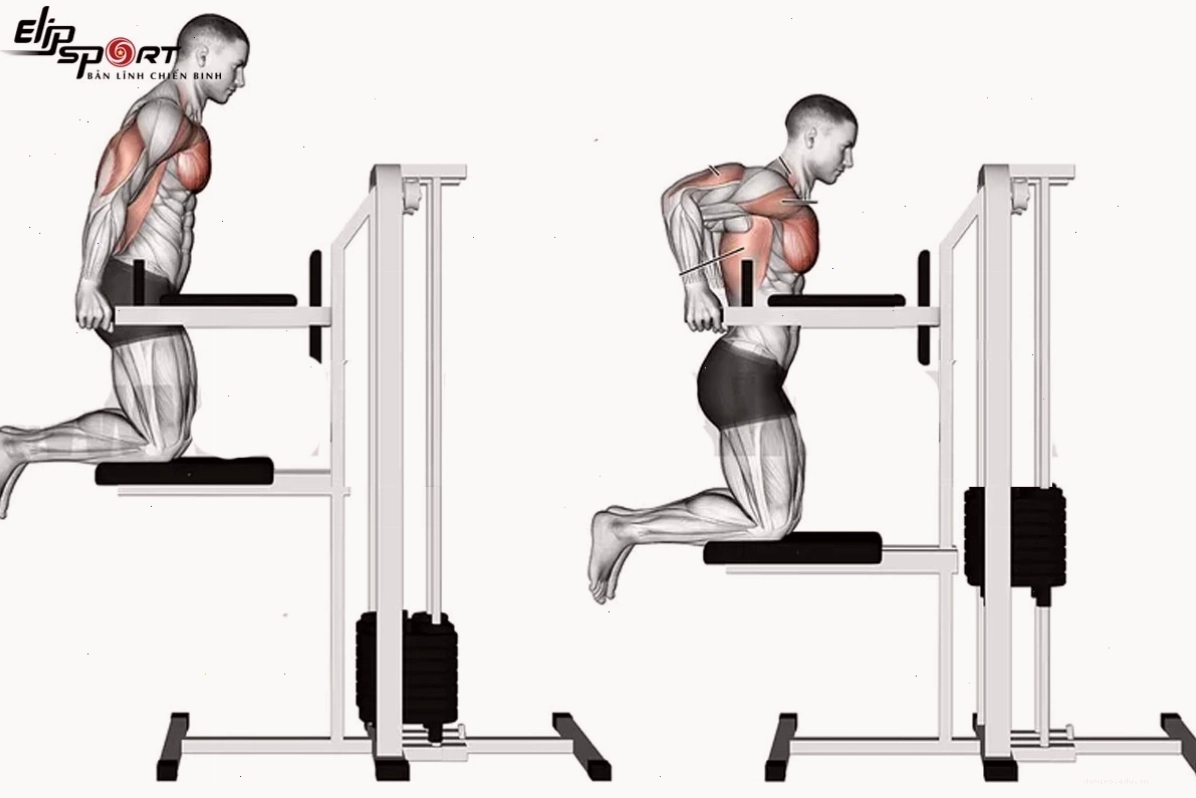 Tập ngực với máy Smith Machine