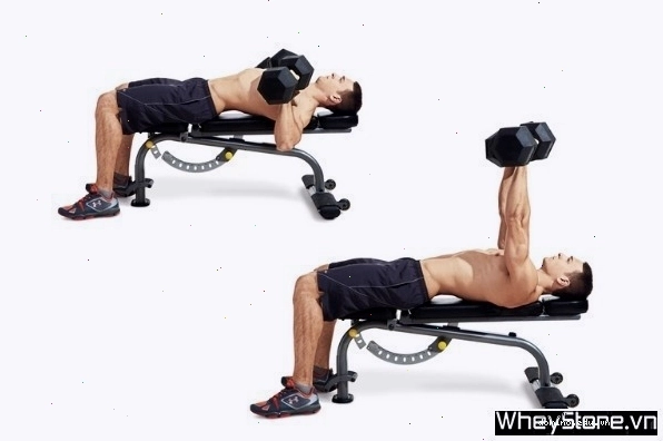 Tập ngực với tạ đơn: Incline Dumbbell Bench Press cho phần ngực trên săn chắc