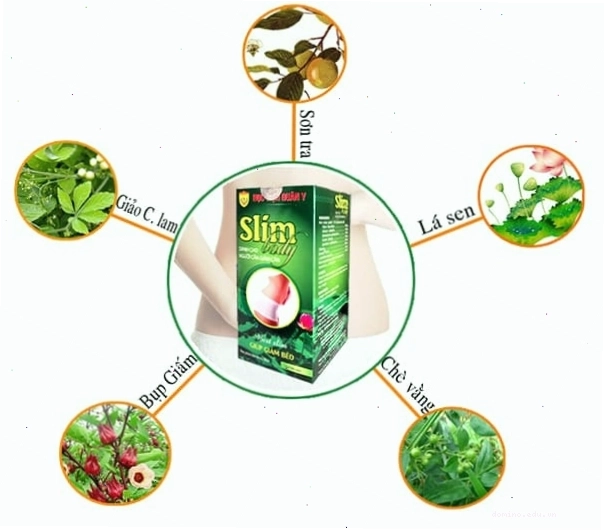 Thành phần chính của Slim Body Học Viện Quân Y